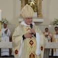 1º ano de falecimento de Dom Paulo