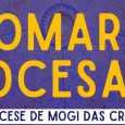 Romaria Diocesana