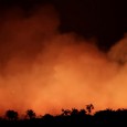 CELAM divulga nota sobre os incêndios na Amazônia