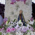 Nossa Senhora da Conceição Aparecida - Itaquaquecetuba