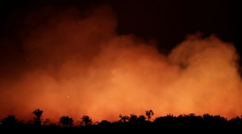 CELAM divulga nota sobre os incêndios na Amazônia