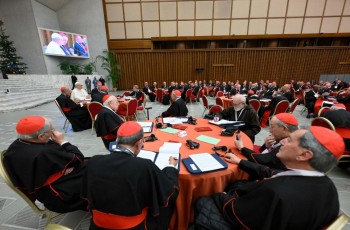 Temas debatidos no Consistório extraordinário