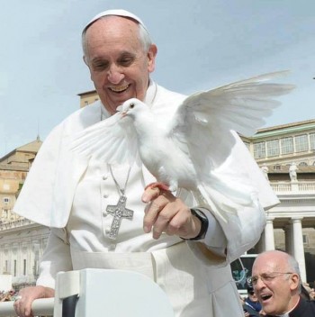 50º Dia Mundial da Paz